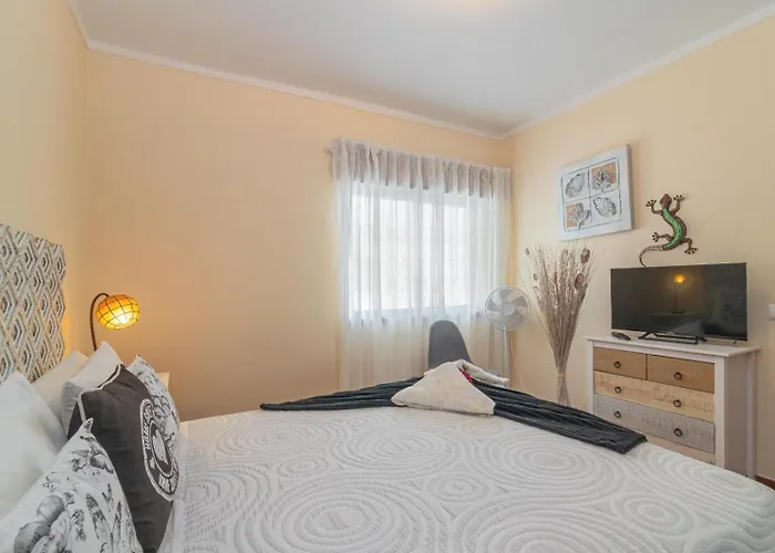 Apartment Great 1bed Flat - Da Rocha - Wi-fi - Parking